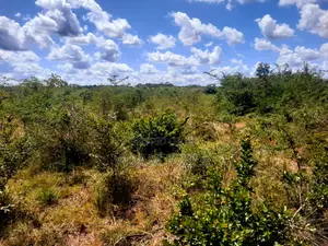 Shamba La Eksri 30 Linauzwa Mwavi Fukayosi Bagamoyo