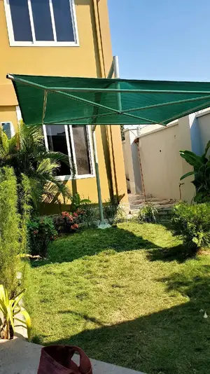 Umbrella Canopies, Miamvuli