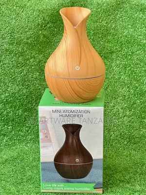Essential Oil Diffuser Air Purifier Humidifier Aromatherapy