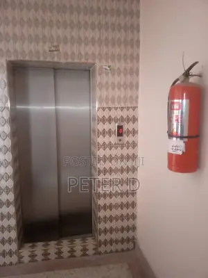 3bdrm Apartment in Kariakoo for rent