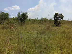 Photo - Plot Industry at Visiga Hecta 22 Pazuri Sana