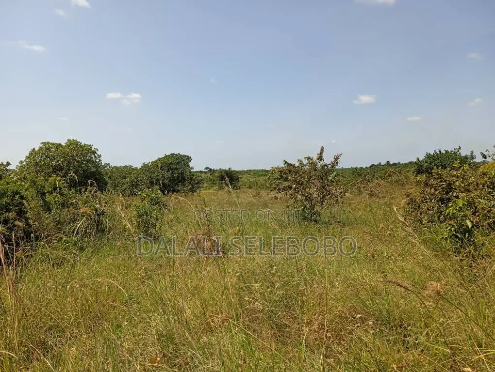 Plot Industry at Visiga Hecta 22 Pazuri Sana