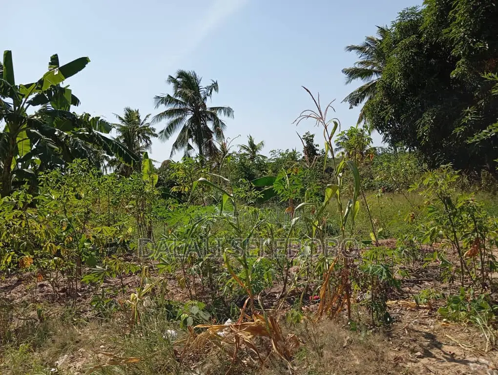 4bedrooms Na Plot at Visiga Madafu