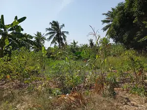 4bedrooms Na Plot at Visiga Madafu