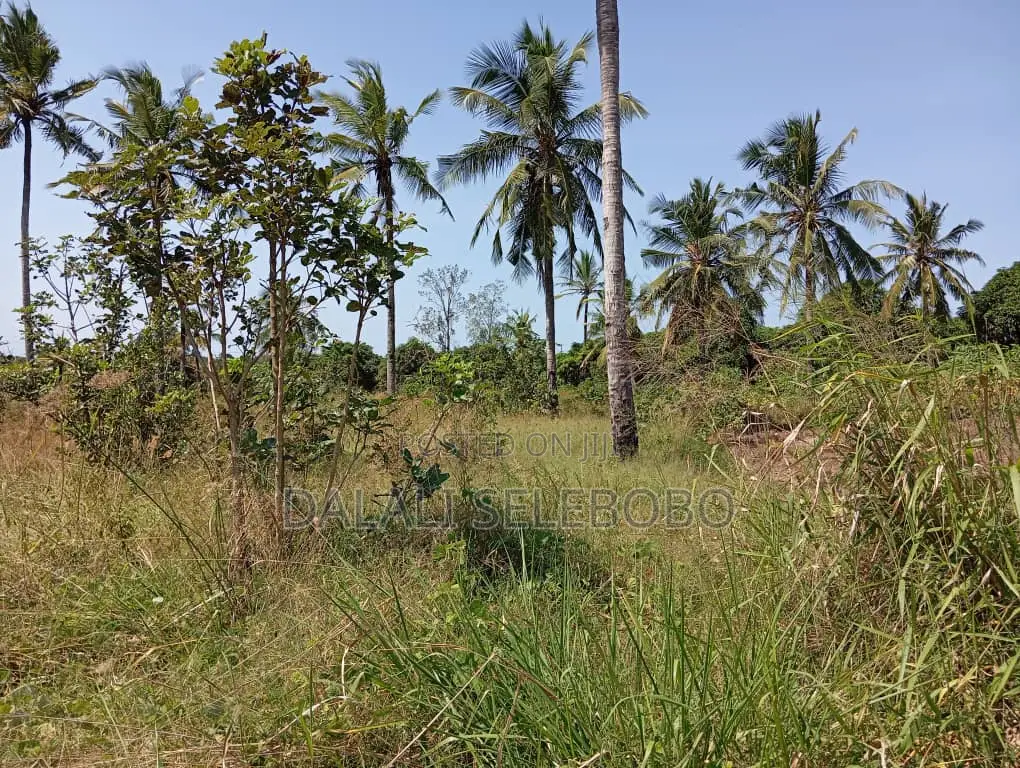 4bedrooms Na Plot at Visiga Madafu