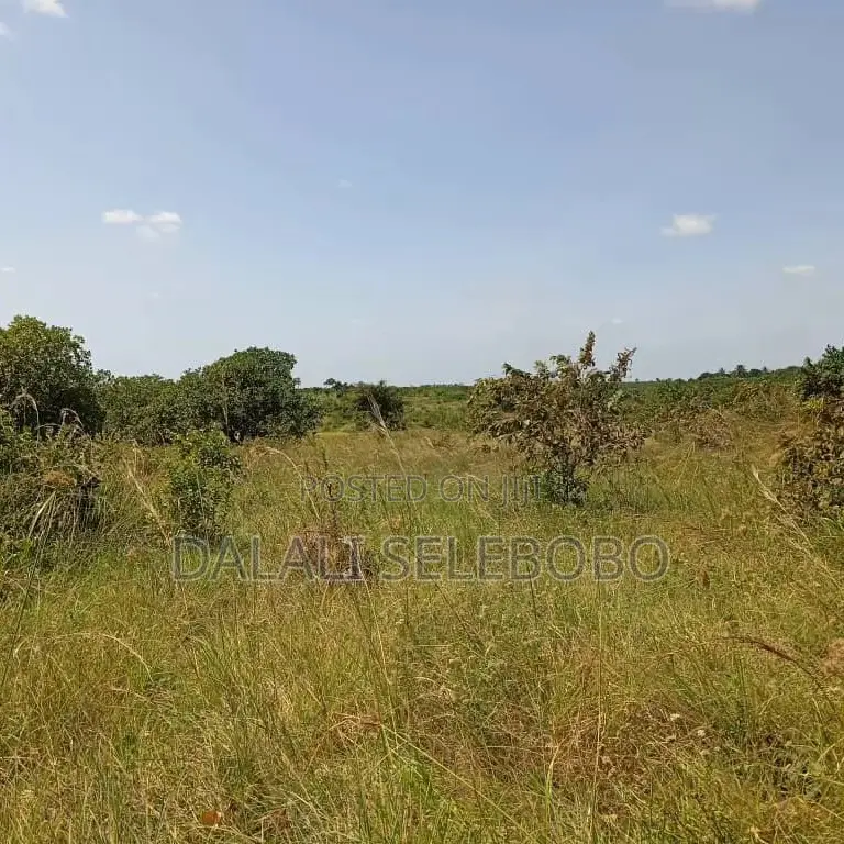 4bedrooms Na Plot at Visiga Madafu