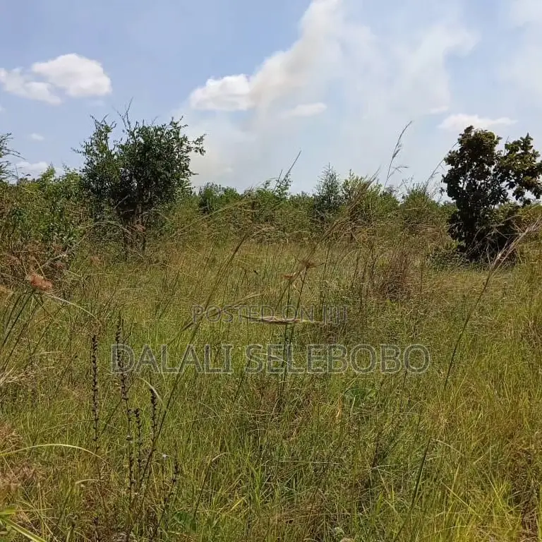 4bedrooms Na Plot at Visiga Madafu