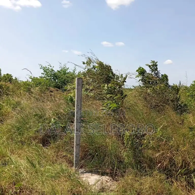 4bedrooms Na Plot at Visiga Madafu