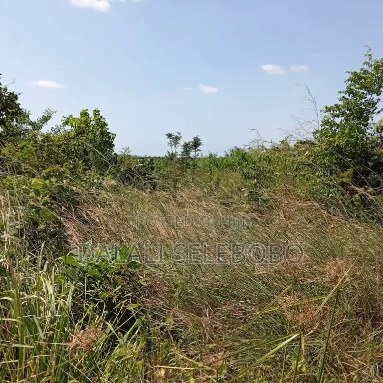 4bedrooms Na Plot at Visiga Madafu