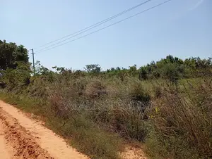 Plot Hecta 5 at Kibaha Visiga