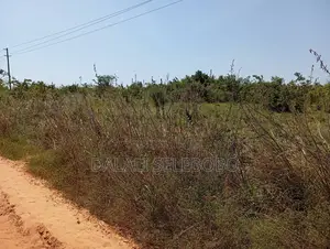 Plot Hecta 5 at Kibaha Visiga
