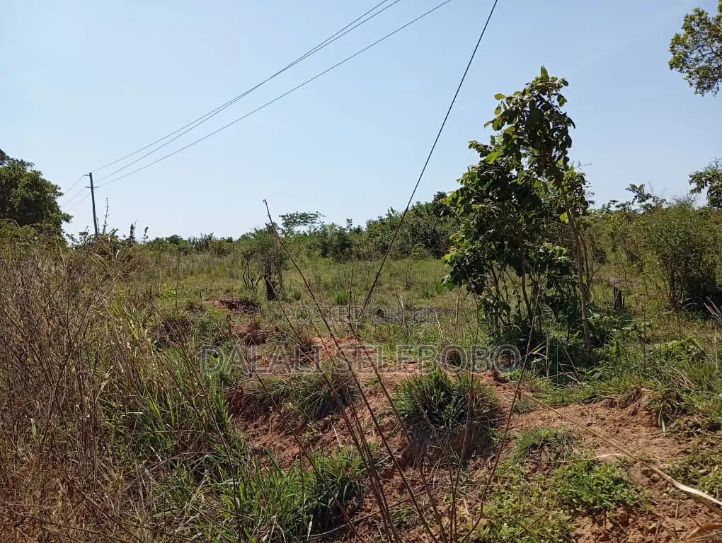 Plot Hecta 5 at Kibaha Visiga