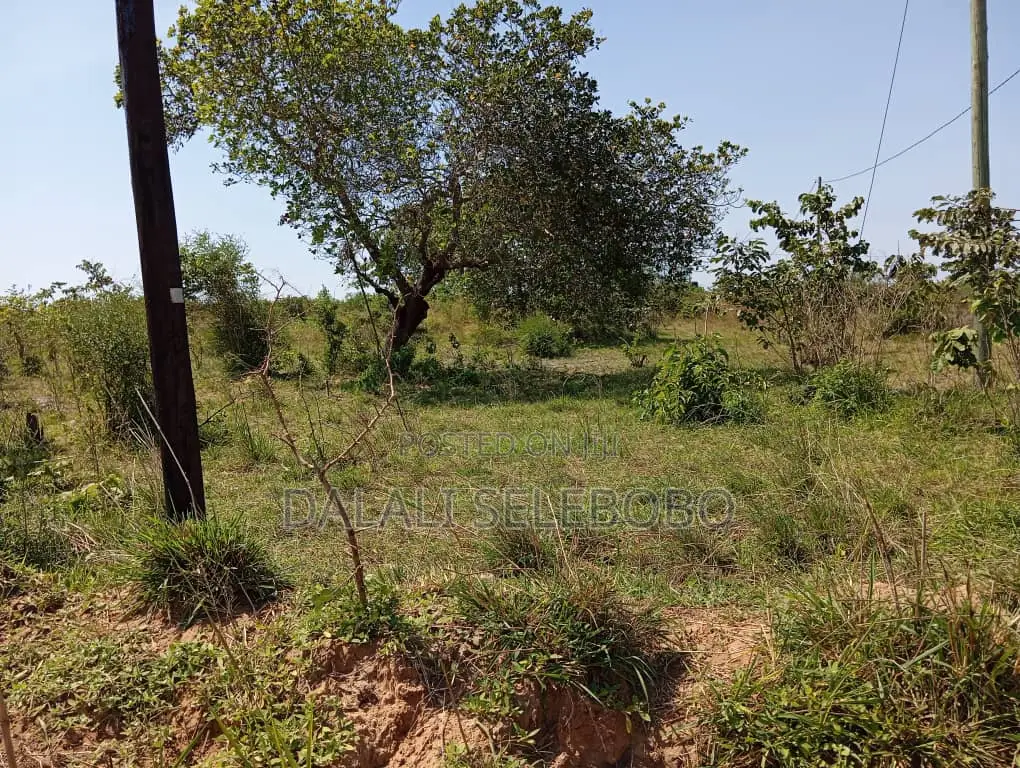 Plot Hecta 5 at Kibaha Visiga