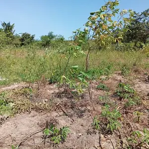 Plot Hecta 5 at Kibaha Visiga