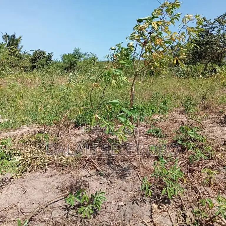 Plot Hecta 5 at Kibaha Visiga