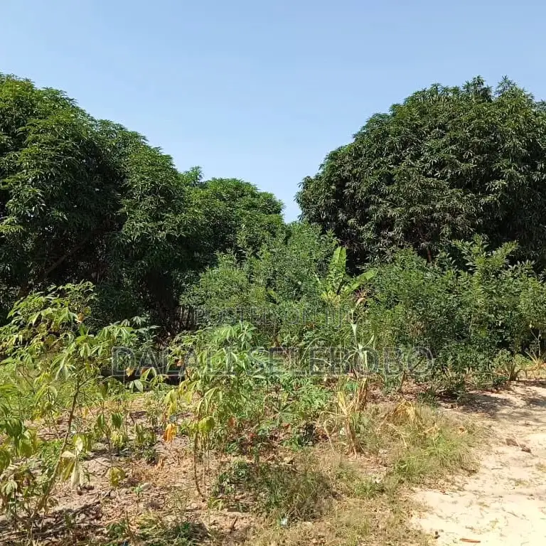 Plot Hecta 5 at Kibaha Visiga