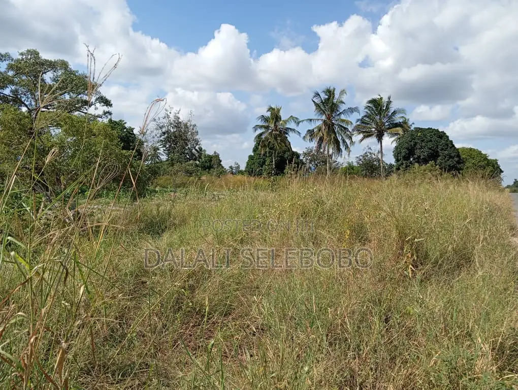 Plot Inatizama Lami at Visiga Madafu