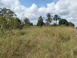 Plot Inatizama Lami at Visiga Madafu