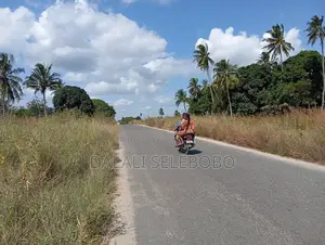 Plot Inatizama Lami at Visiga Madafu