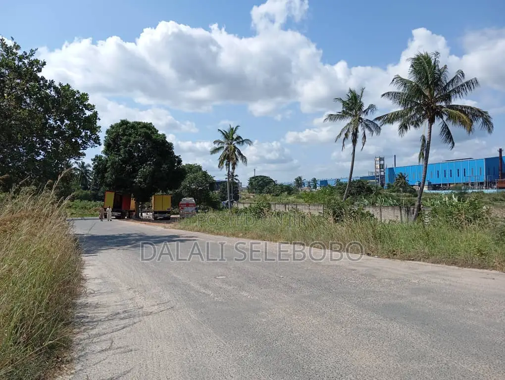 Plot Inatizama Lami at Visiga Madafu