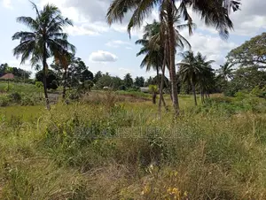 Plot Inatizama Lami at Visiga Madafu