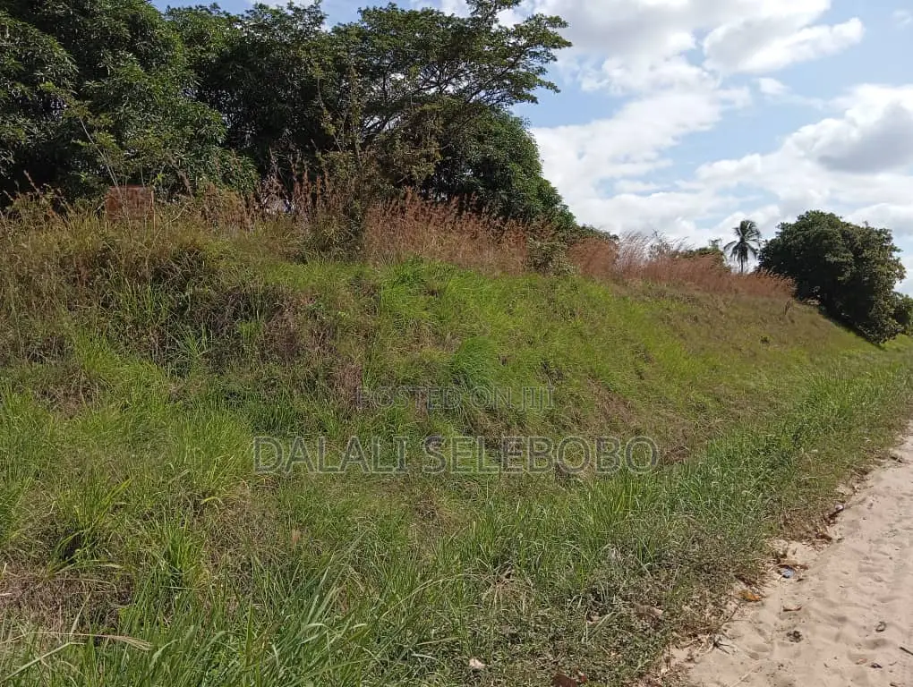 Plot Inatizama Lami at Visiga Madafu