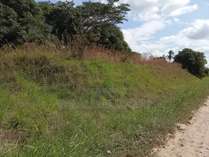 Plot Inatizama Lami at Visiga Madafu