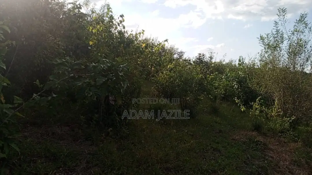 Shamba LA Ekari 100 Linauzwa Mwetemo Kiwangwa