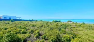 Beach Plot for Sale at Jambiani Zanzibar