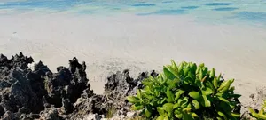 Beach Plot for Sale at Jambiani Zanzibar