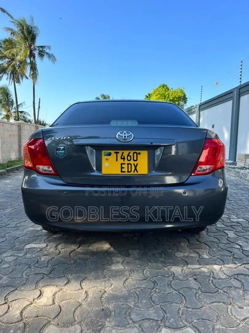 Toyota Axio 2007 Gray