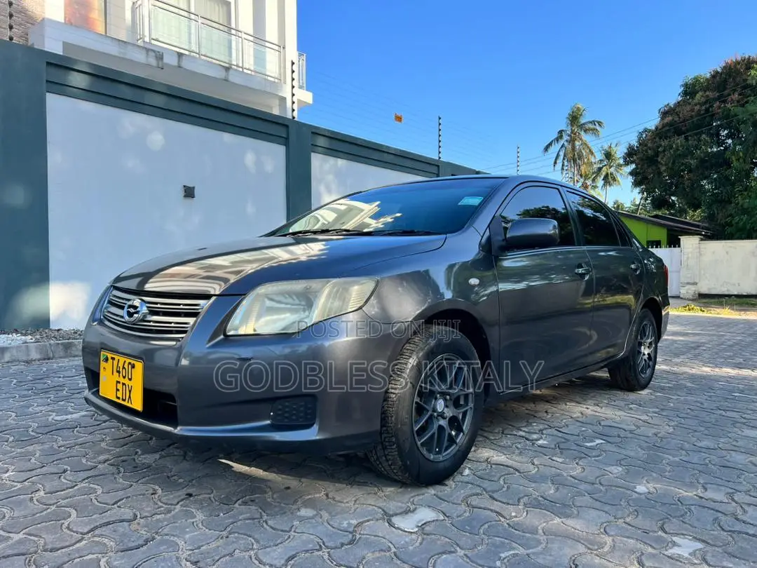 Toyota Axio 2007 Gray