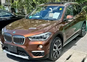 BMW X1 2017 Brown