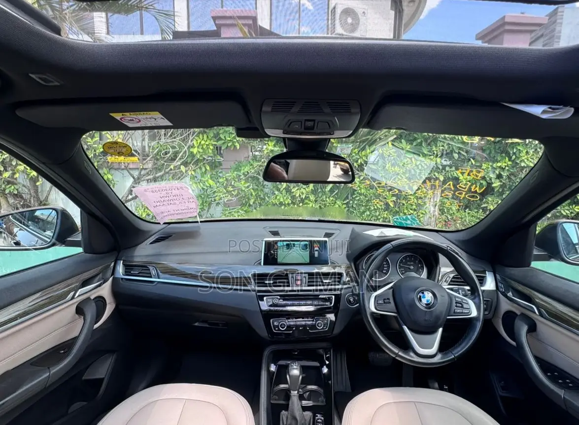 BMW X1 2017 Brown