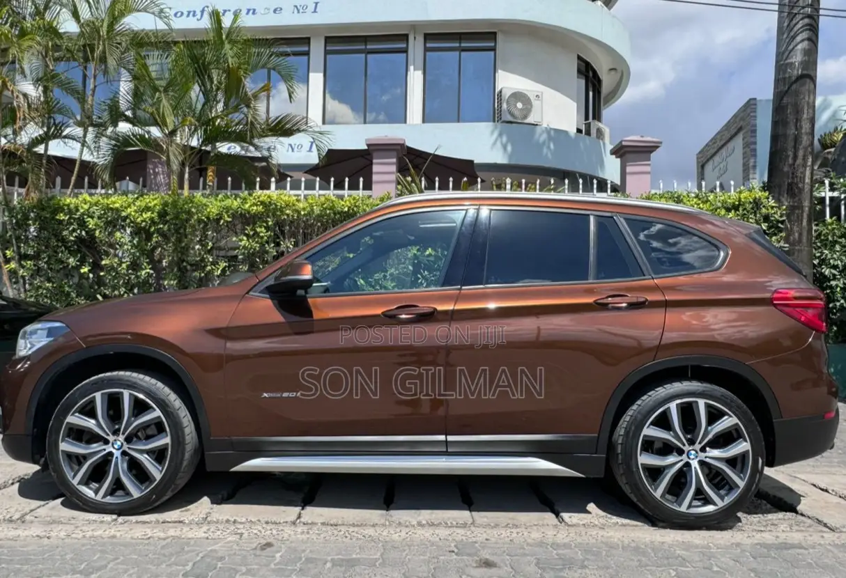 BMW X1 2017 Brown