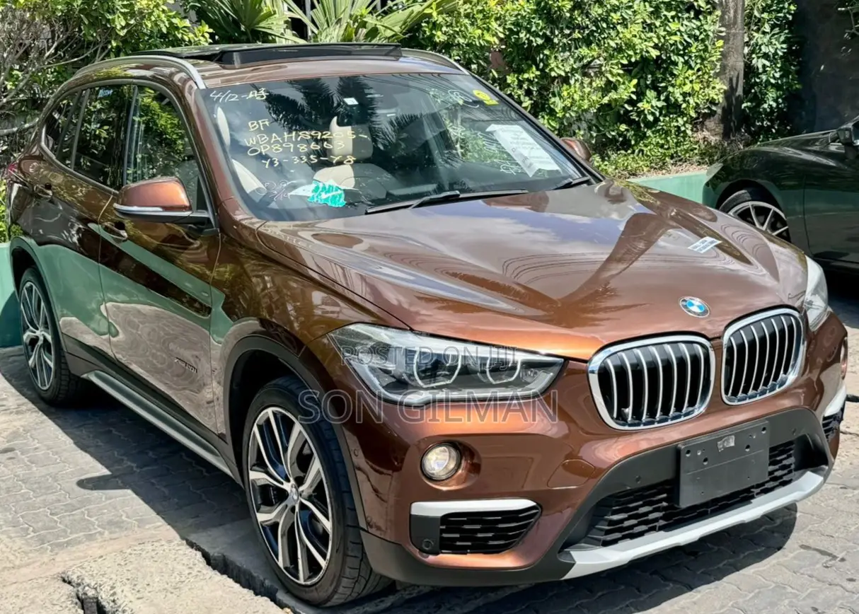 BMW X1 2017 Brown