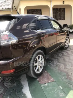 Lexus RX 330 2006 Brown