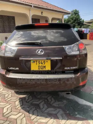 Lexus RX 330 2006 Brown