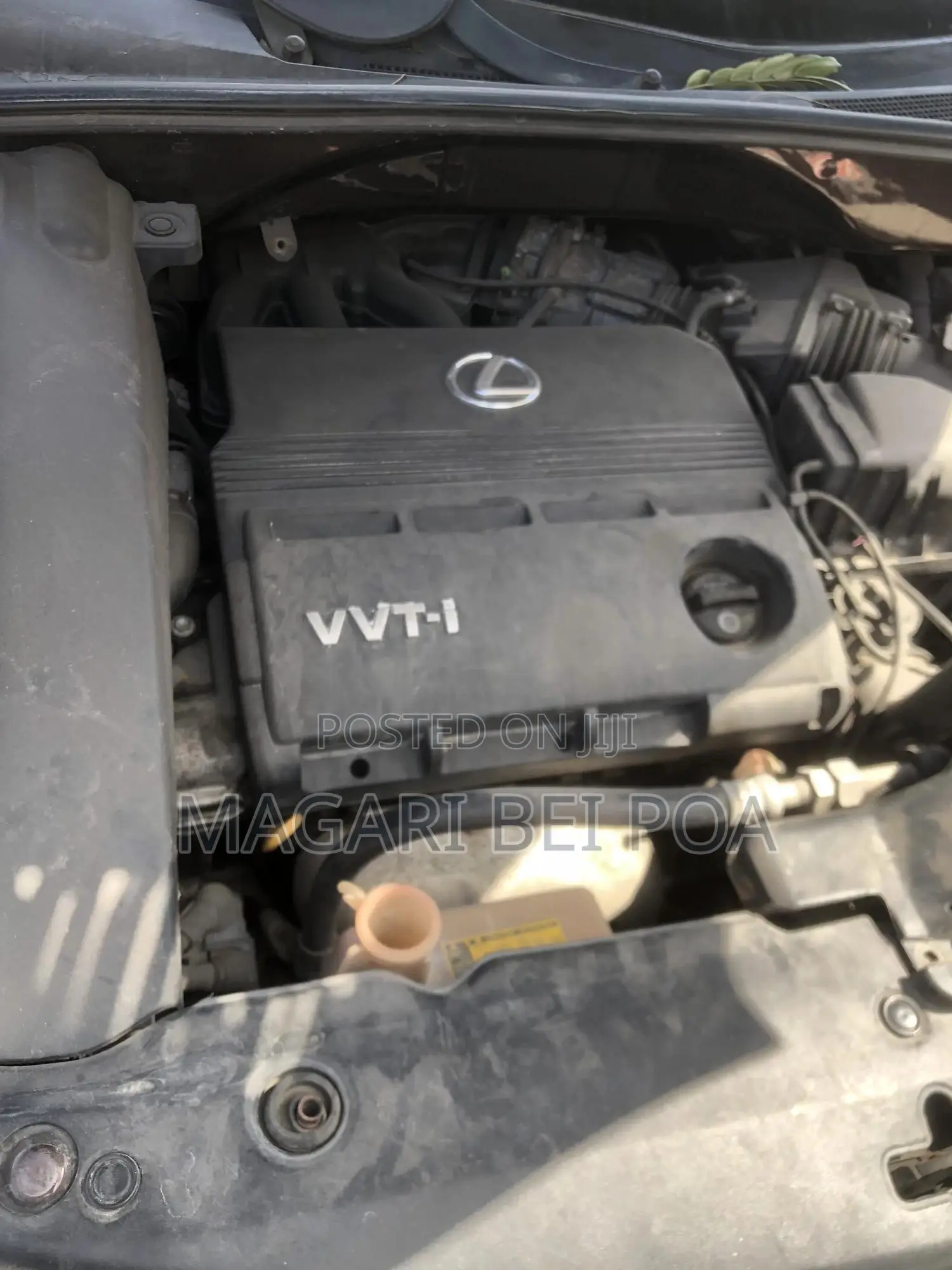 Lexus RX 330 2006 Brown