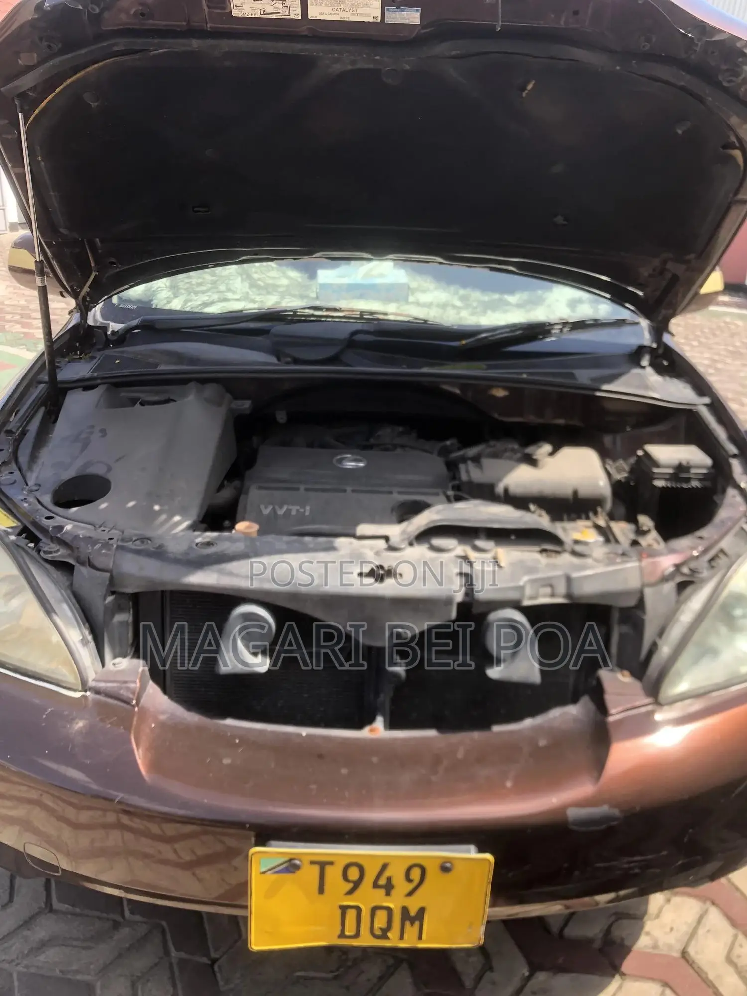 Lexus RX 330 2006 Brown