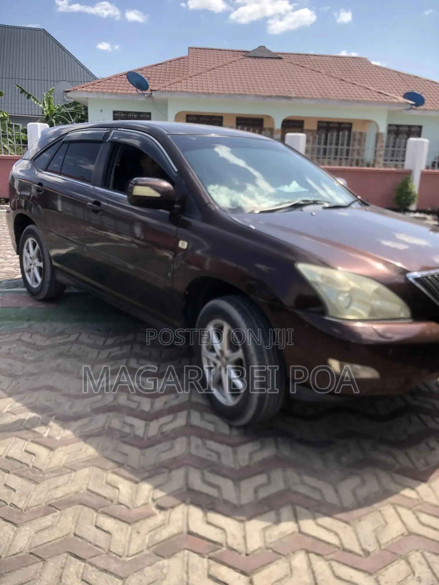 Lexus RX 330 2006 Brown