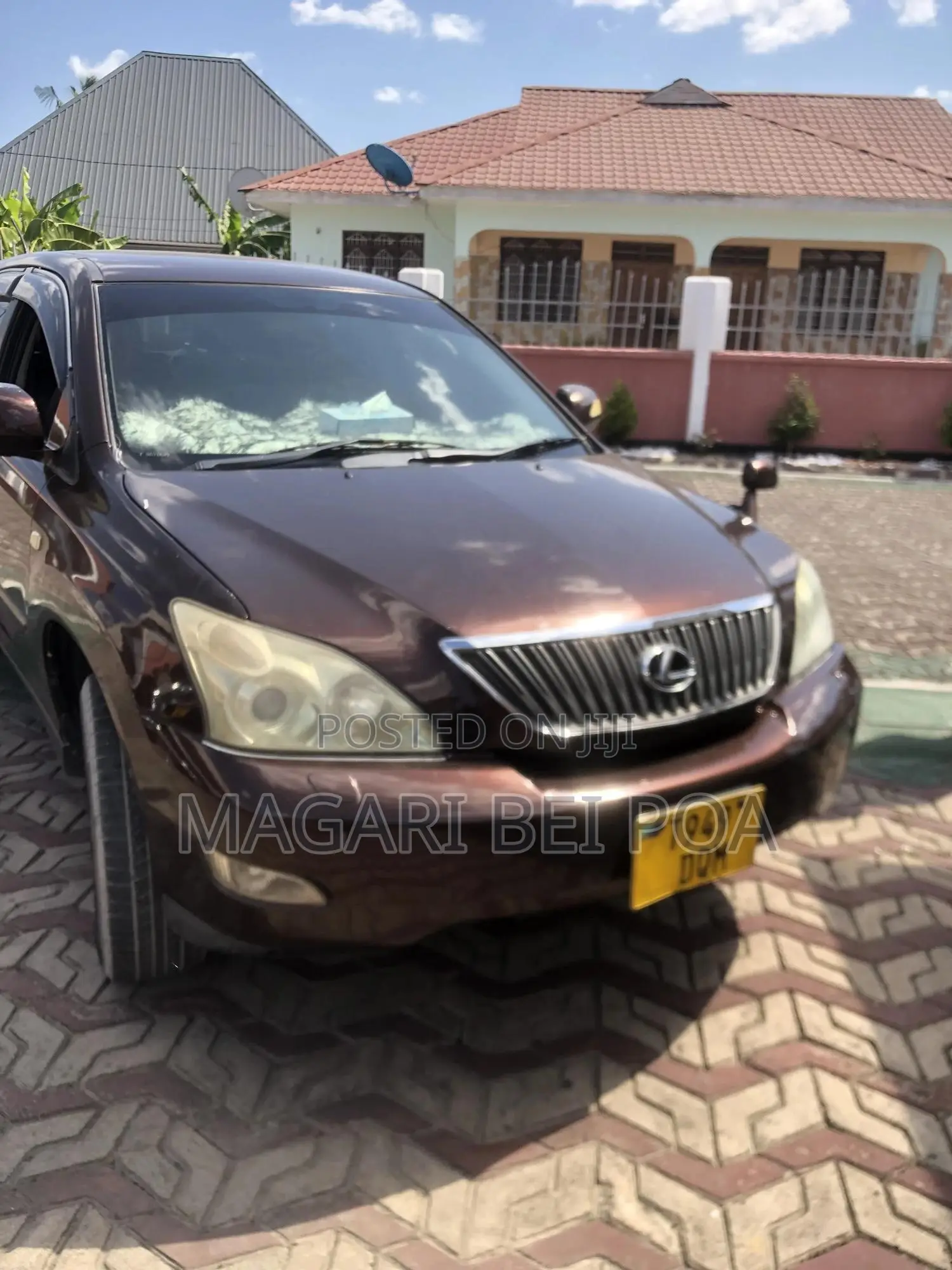 Lexus RX 330 2006 Brown