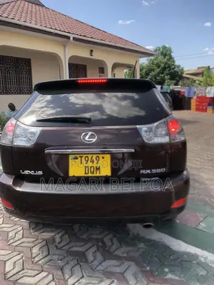 Lexus RX 330 2006 Brown