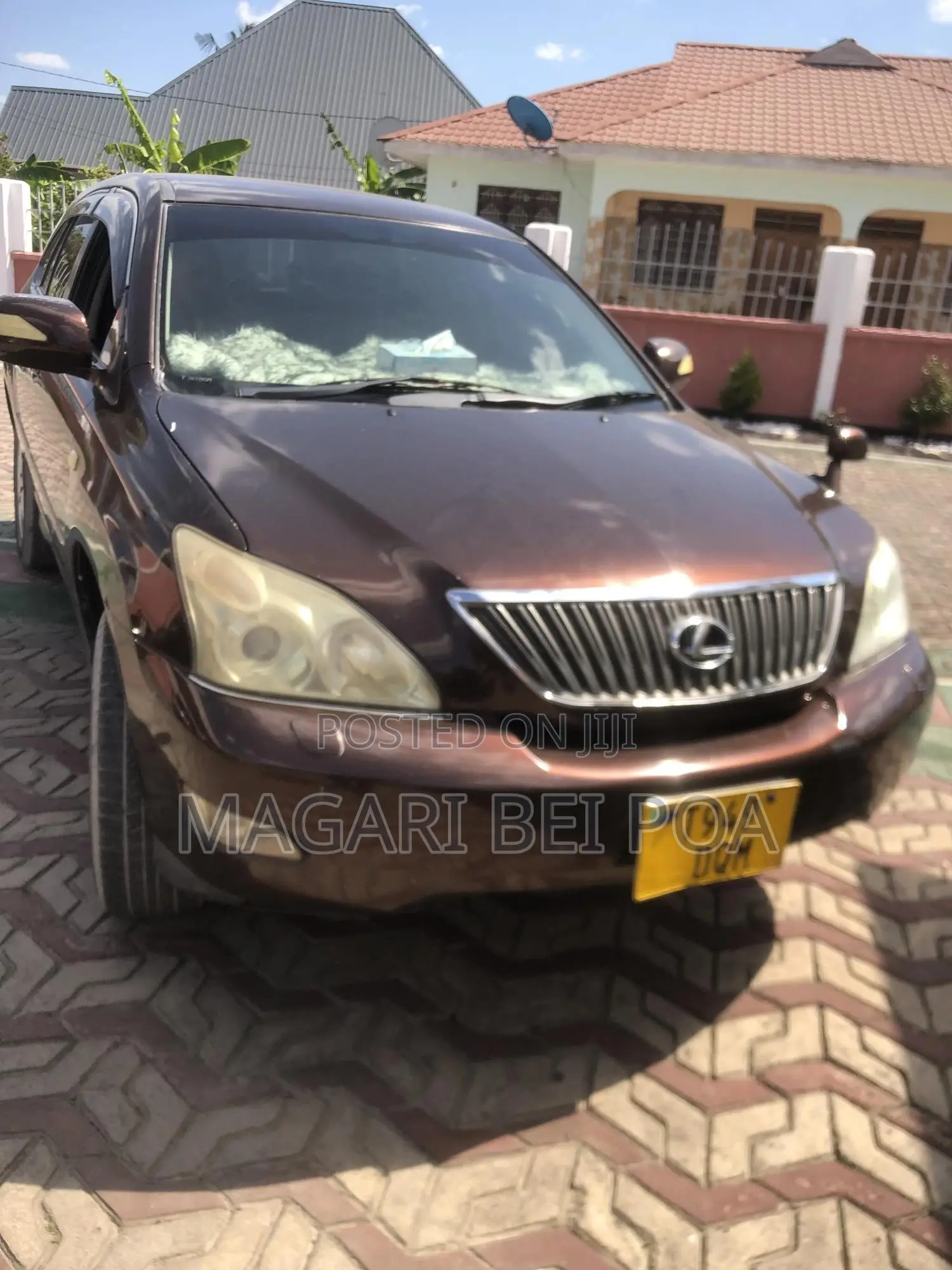 Lexus RX 330 2006 Brown