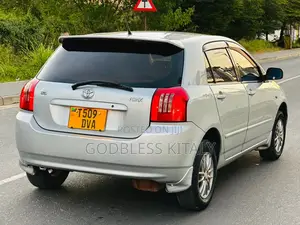 Toyota Allex 2004 Silver