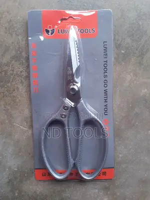 Stainless Steel Scissor