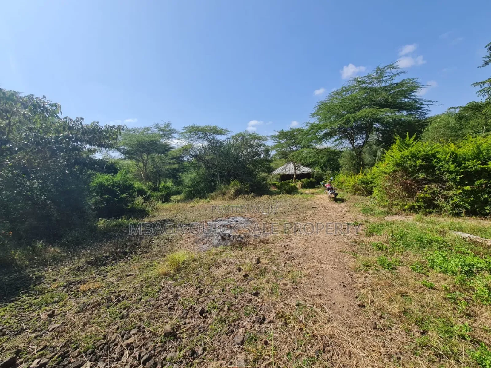 Plot for Sale With 20 Acres at Arusha