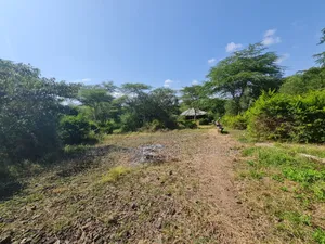 Plot for Sale With 20 Acres at Arusha