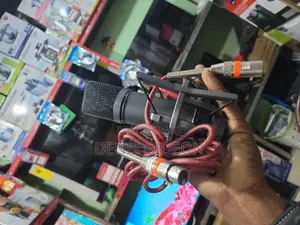 Brack and Silver Microphone Condesor