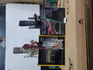 Brack and Silver Microphone Condesor